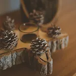 Nosalowski Wypas Jacuzzi & Sauna * Zakopane